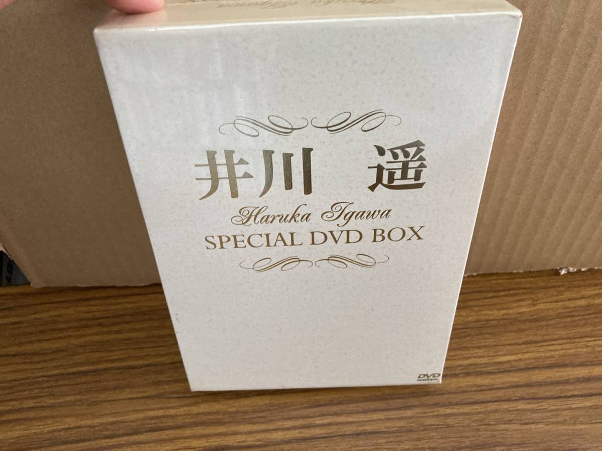 上質風合い 井川遥/井川遥 Special DVD-BOX〈5,000ボックス限定生産・3