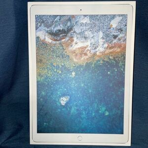 ◆ Apple iPad Pro 12.9インチ 第2世代 256GB シルバー au版 SIMフリー MPA52J/A 送料無料 ◆