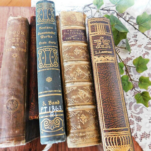 +..。*゜+ 1888年　聖書の辞書　アンティークブック　ヴィンテージ本　洋書　古書　英国　緑　アンティーク　インテリア　ディスプレイ