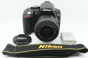 ★新品級!! 動作確認済み★ Nikon ニコン D5300 ボディ AF-S NIKKOR 18-55mm F3.5-5.6GII ショット数僅か