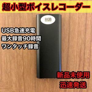 ☆新品未使用☆ 小型 ボイスレコーダー ICレコーダー 録音 8GB イヤフォン USBケーブル