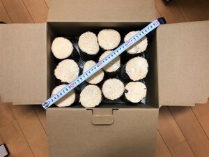【川口商会】最高級ブランド三草クヌギ・コナラ飼育産卵木SA品 NO51