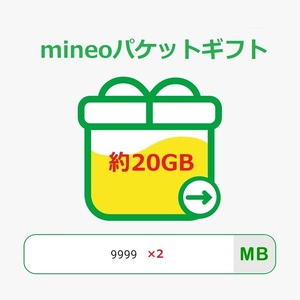 mineoパケットギフト約20GB(9999MB×2)