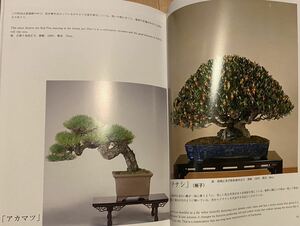 清香園美術盆栽 : 日本の粋、江戸の粋　定価10,476円　盆栽　本　写真