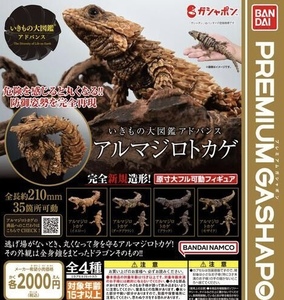 いきもの大図鑑アドバンス アルマジロトカゲ 全4種セット ガチャ 送料無料 プレミアムガチャポン