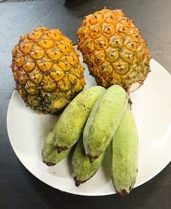 沖縄本島産　セレブのバナナ アップルバナナとハワイ種 沖縄改良パインセット！