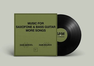 新品未開封 SAM GENDEL & SAM WILKES 『MUSIC FOR SAXOFONE & BASS GUITAR MORE SONGS』アナログ レコード