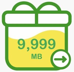 mineo パケットギフト約10GB (=9999MB)