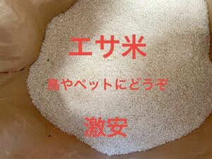 送料無料　^_^ 令和3年度産　コシヒカリ　くず米　砕米　茶米　25kg 鳥エサ用　えさ　小粒米m