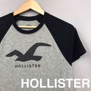 ホリスター HOLLISTER ラグランシャツ Tシャツ ベースボールシャツ ビッグロゴ カモメプリント Sサイズ メンズ 男性用 ♭▽
