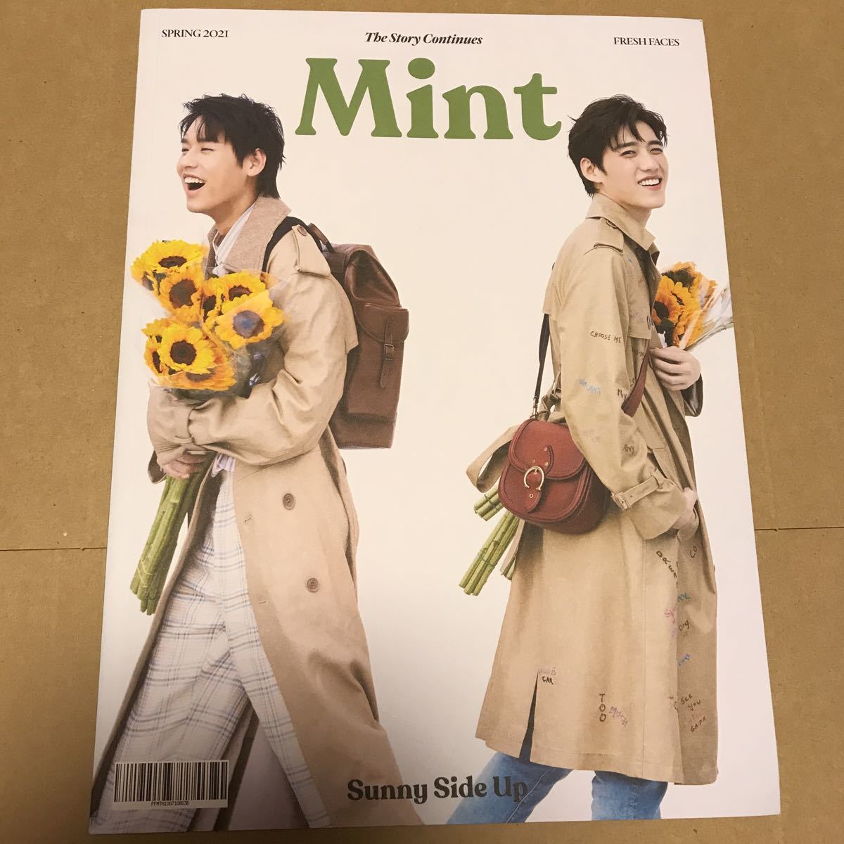 Mint magazine