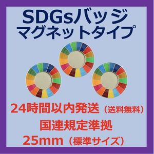 SDGsカラーホイールバッジ　マグネットタイプ　3個セット