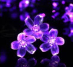 ソーラー LED 桜花ガーデンライト 100電球 12m 紫色 ストリングライト ホワイト 芝桜 フラワー 太陽充電 夜間自動点 日本全国送料無料
