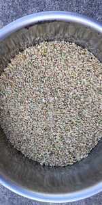 令和4年産コシヒカリ、テンコモリの未熟米、くず米、青米24kg、全国一律送料無料②