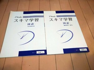 Ｚ会　スキマ学習　国語　中学国文法、頻出漢字・語句　2冊セット