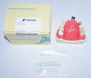 NISSIN 歯科 サンプル 模型 見本 入れ歯 CAD FMC e Max 前装冠 メタルボンド セレック 説明 技工 資料 自費 ニッシン クラウン 顎模型