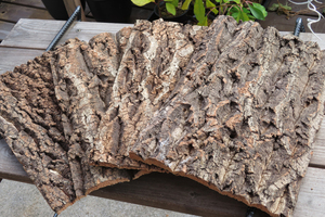 特価　5枚　樹皮　コルク板　20×30ｃｍ（厚約10ｍｍ以下）洋蘭　原種　チランジア　エアープランツ　熱帯植物　ラン　コルク　樹皮　