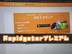 【5年】Rapidgator プレミアム 匿名 サポートあり W317