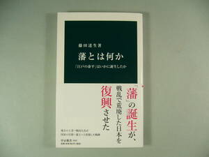 藤田達生「藩とは何か 「江戸の太平」はいかに誕生したか」 新本　中公新書