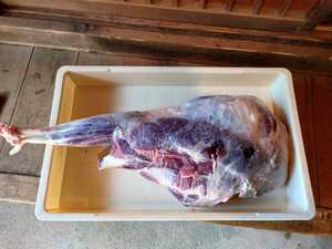 ペット用 鹿肉 6.3kg 天然物 日本鹿 