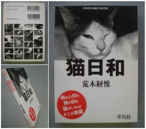 【POSTCARD BOOK】ポストカード「猫日和」荒木経惟 平凡社　[送料180円]