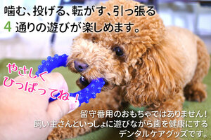 【SHK】デンタルトイ 小型犬用 はみがき　おもちゃ オモチャ 玩具 シリコン 歯周病予防 ブルー 5個　まとめ売り