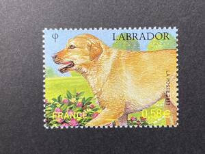 外国切手（未使用）フランス 2011年発行 自然シリーズ/イヌ 単片1種 - 動物 犬 いぬ Dogs ラブラドール・レトリーバー