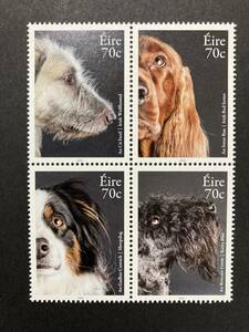 外国切手（未使用）アイルランド 2016年発行 イヌ 田型4種連刷 - 動物 犬 いぬ Dogs ウルフハウンド アイリッシュ・セッター ほか
