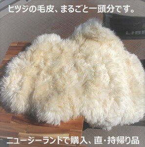 ムートンの毛皮1頭まるごと。真っ白い羊の毛皮です。サイズ記号2(＝やや小)