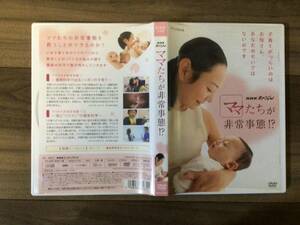 ママたちが非常事態 NHK DVD