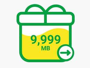 mineo パケットギフト 9999MB 約10GB （1）