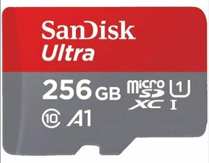 256GB　マイクロSD カード　micro SD card　SanDisk grey 426