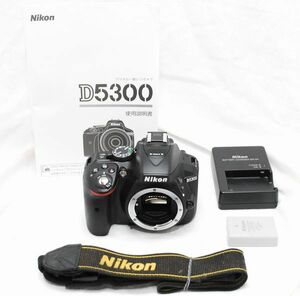 【超美品】Nikon ニコン D5300