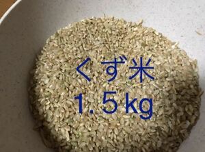 くず米　1.5kg　エサ米　玄米