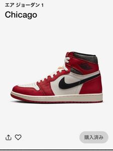 NIKE AIR JORDAN 1 High OG Lost and Found Chicagoジョーダン シカゴ　28cm