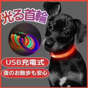 犬猫用　光る首輪　ペット用　夜の散歩　LED　充電式 カットして調節可能 事故防止 お散歩 赤 レッド