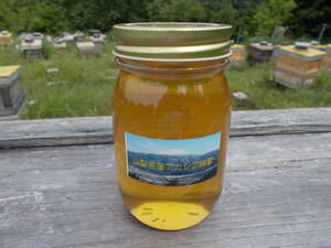山梨県産　アカシア蜂蜜　600g（ビン）　1本入り　2022 年5月採り