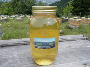 山梨県産　アカシア蜂蜜　1200g（ビン）　1本入り　2022 年5月採り