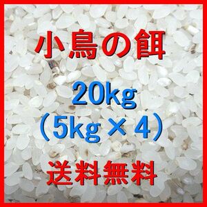 小鳥用のお米 20kg（5kg×4袋）色彩選別機ではじかれたお米（くず米）等 全国送料無料