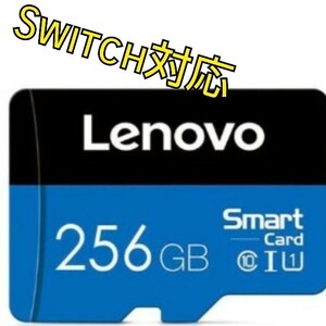 【最安】 Switch対応 MicroSDカード 256GB マイクロ
