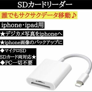 SDカードリーダー iPhone iPad 純正 高速 USB 転送 データ移行 マイクロ バックアップ