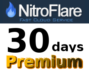 即日発送！NitroFlare プレミアム 30日間 初心者サポート