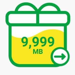 mineo パケットギフト 9999MB(約10GB)