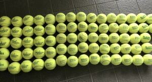 DUNLOP FORT/St.JAMES,Wilsonなど硬式テニスセットボール50個以上　ダンロップフォート テニスボール 