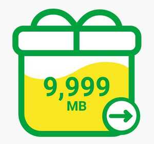 mineo パケットギフトコード　10GB（ 9999MB ）