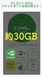 【匿名迅速】定額　マイネオ　mineo パケットギフト 合計約30GB(約10GBの9999MBが3個で1セット)のギフトコード