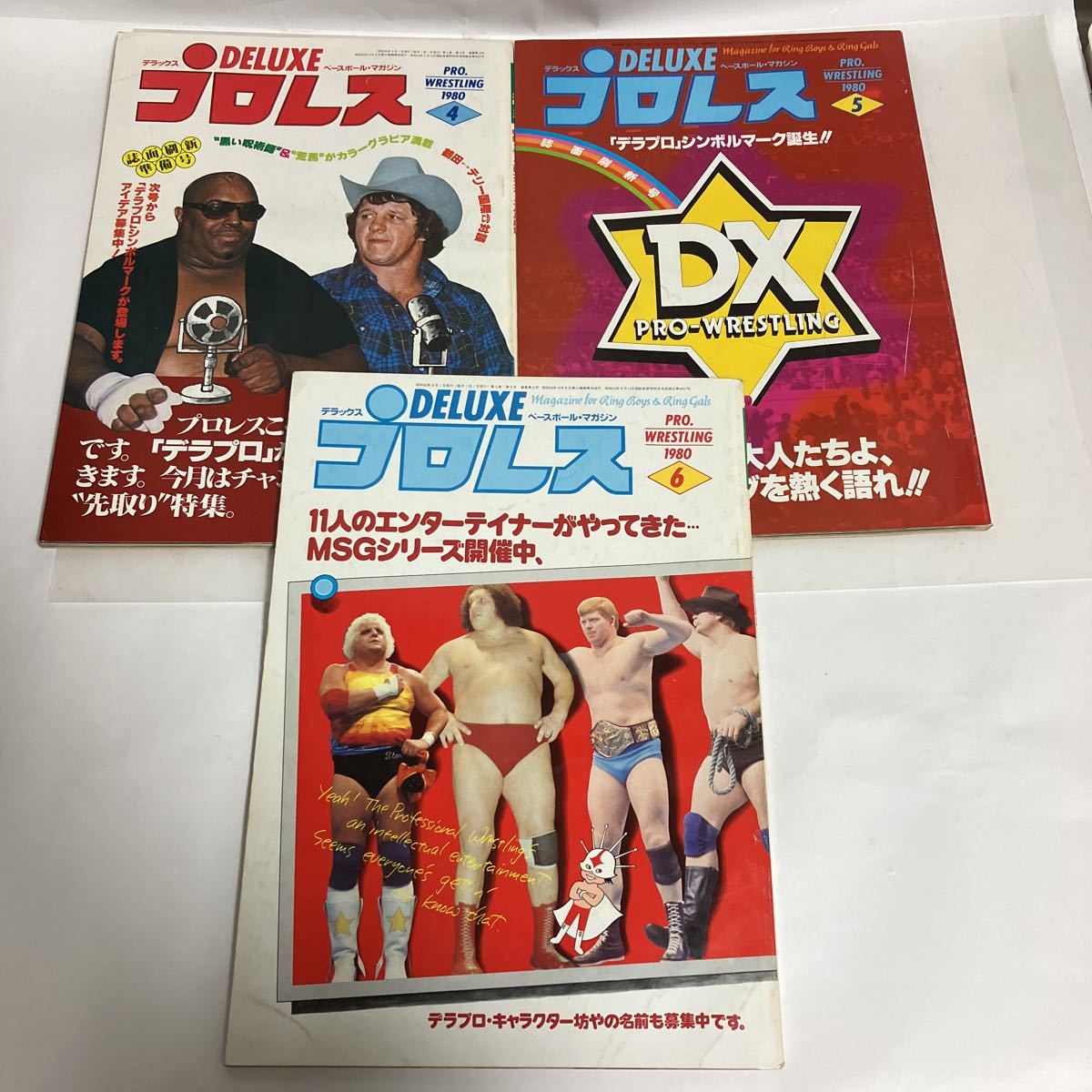 ストアアクティビテ プロレスカレンダー 1981年 デッドストック - 雑誌