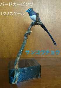 バードカービング”サンコウチョウ”(三光鳥）1/2.5スケール S.No.B0414