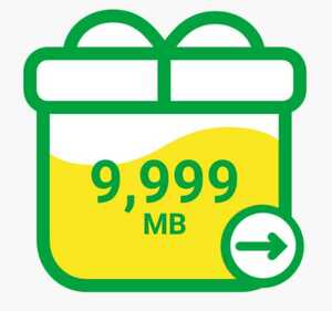 mineo パケットギフト 10GB(9999MB)