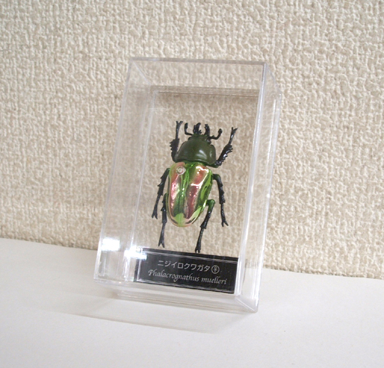 デアゴスティーニ「世界の昆虫 DATA BOOK」ミヤマクワガタ(雄